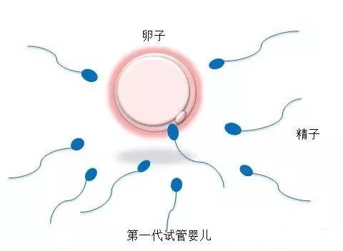 关于代怀选性别包生男孩